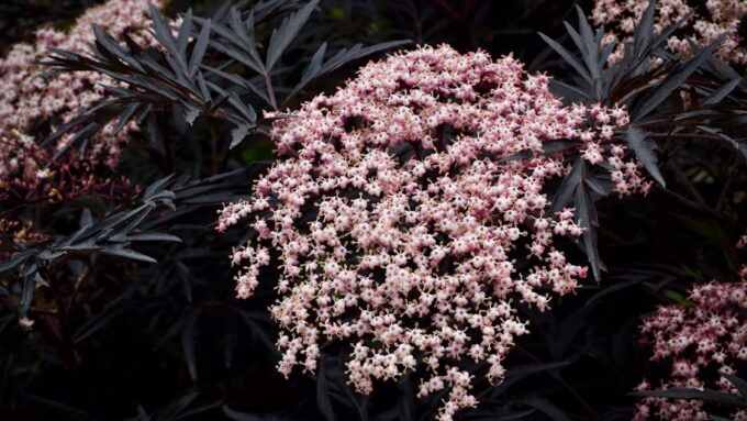 2026’s Top Food Trends: What to Watch and How to Adapt