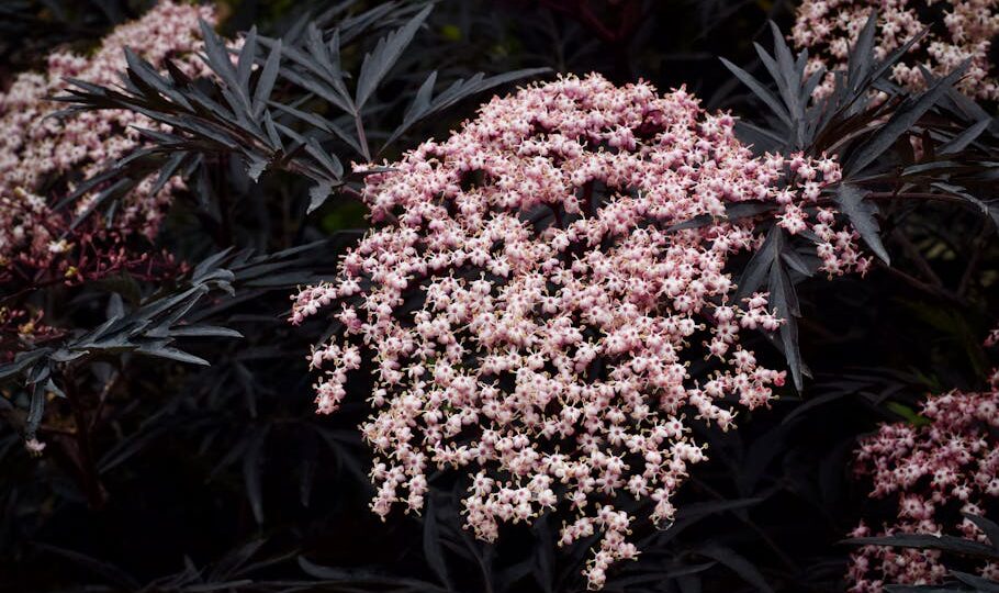 2026’s Top Food Trends: What to Watch and How to Adapt