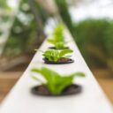 10 Innovative Plant-Based Products to Try in 2026