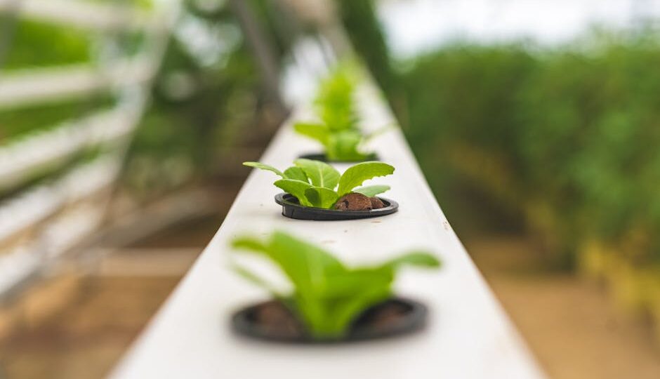 10 Innovative Plant-Based Products to Try in 2026