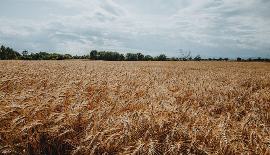 The Nutrient-Rich Revolution: Biofortified Foods to Watch in 2026
