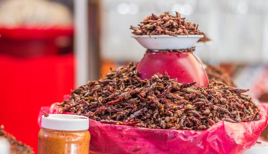 Edible Insects: The Unseen Superfood of 2026