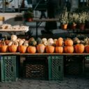 The Art of Seasonal Eating: Embracing Nature’s Rhythm in 2026