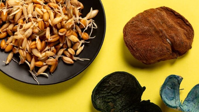 The New Mediterranean: How the Seaweed Diet is Making Waves in 2026