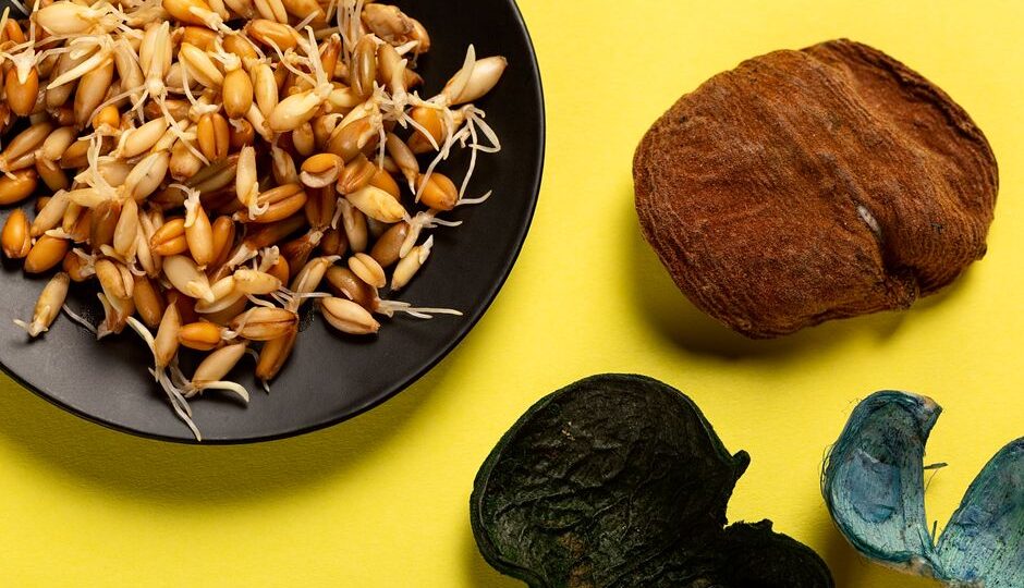 The New Mediterranean: How the Seaweed Diet is Making Waves in 2026